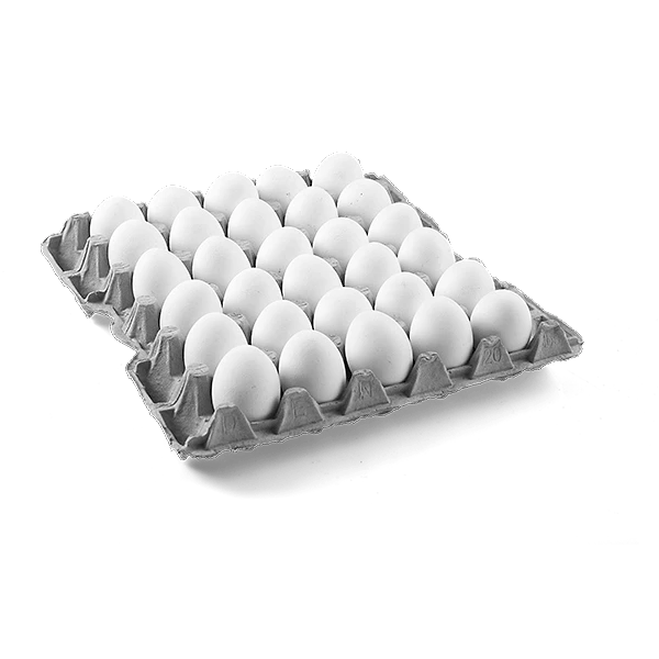 30 MEDIUM WHITE PREPACKED  EGGS (8 TRAYS) 