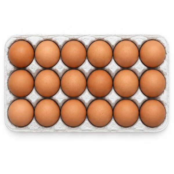 18 MEDIUM BROWN EGGS (12 TRAYS)