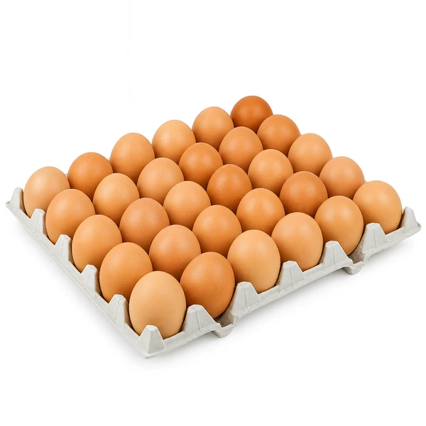 30 MEDIUM BROWN EGGS (8 TRAYS)