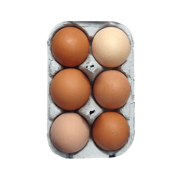 6 LARGE FREERANGE EGGS (16 TRAYS)
