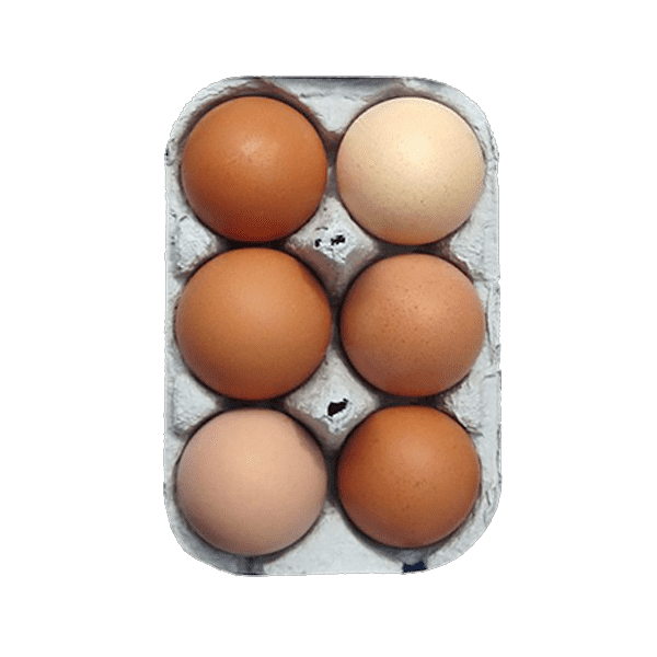 6 MEDIUM  FREERANGE EGGS (16 TRAYS)