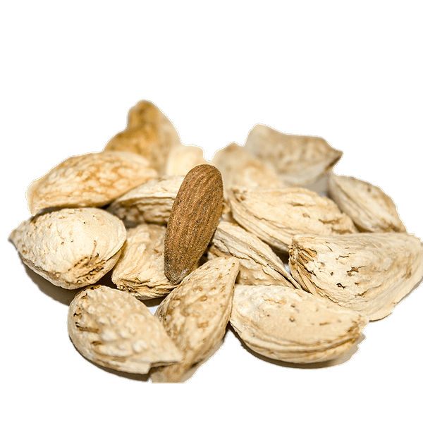 KAIF ALMONDS QAMBARY (EASY CRACK) 11KG 