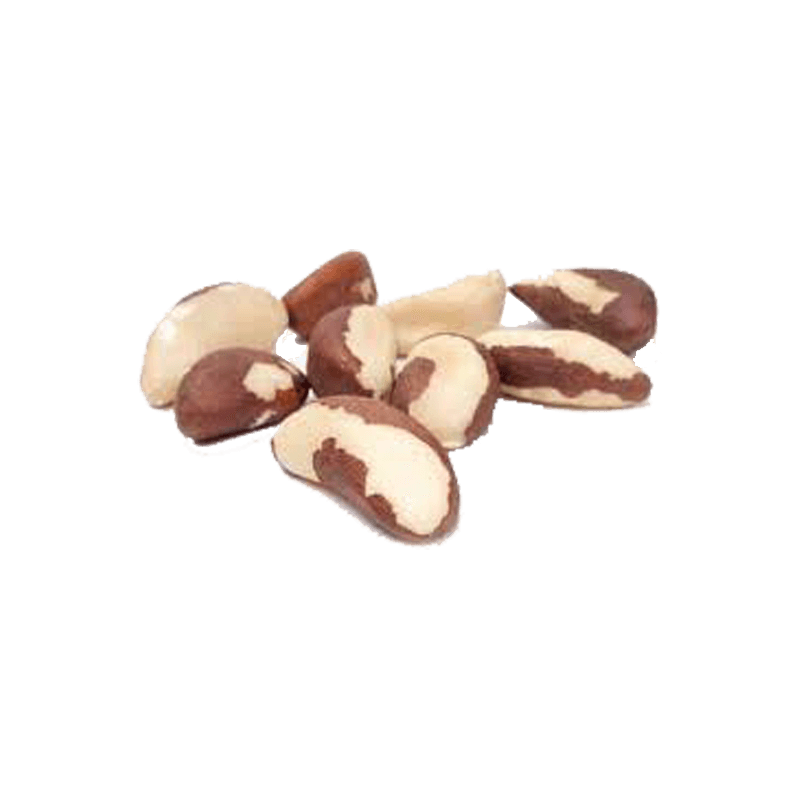 BRAZIL NUTS KERNELS 20KG
