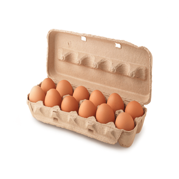 12 LARGE BROWN  EGGS (16 TRAYS)
