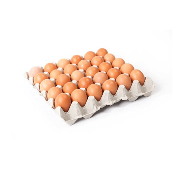 30 SMALL BROWN EGGS FAMILY PACK