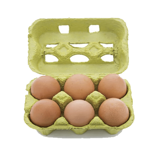 6 LARGE BROWN EGGS (16 TRAYS)