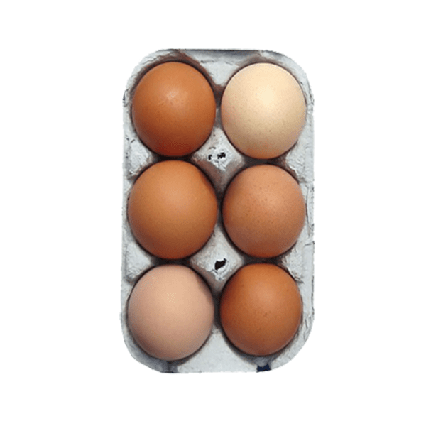 6 MEDIUM BROWN EGGS (16 TRAYS)