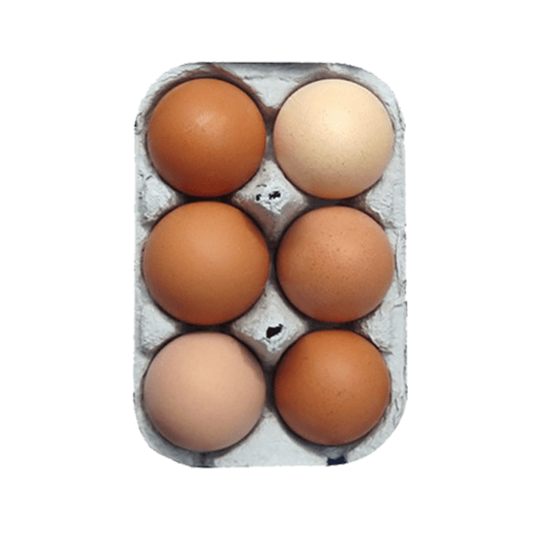 6 MEDIUM  FREERANGE EGGS (16 TRAYS)