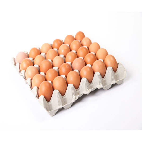 KEY TRAY LARGE LOOSE BROWN  EGGS (12 TRAYS)