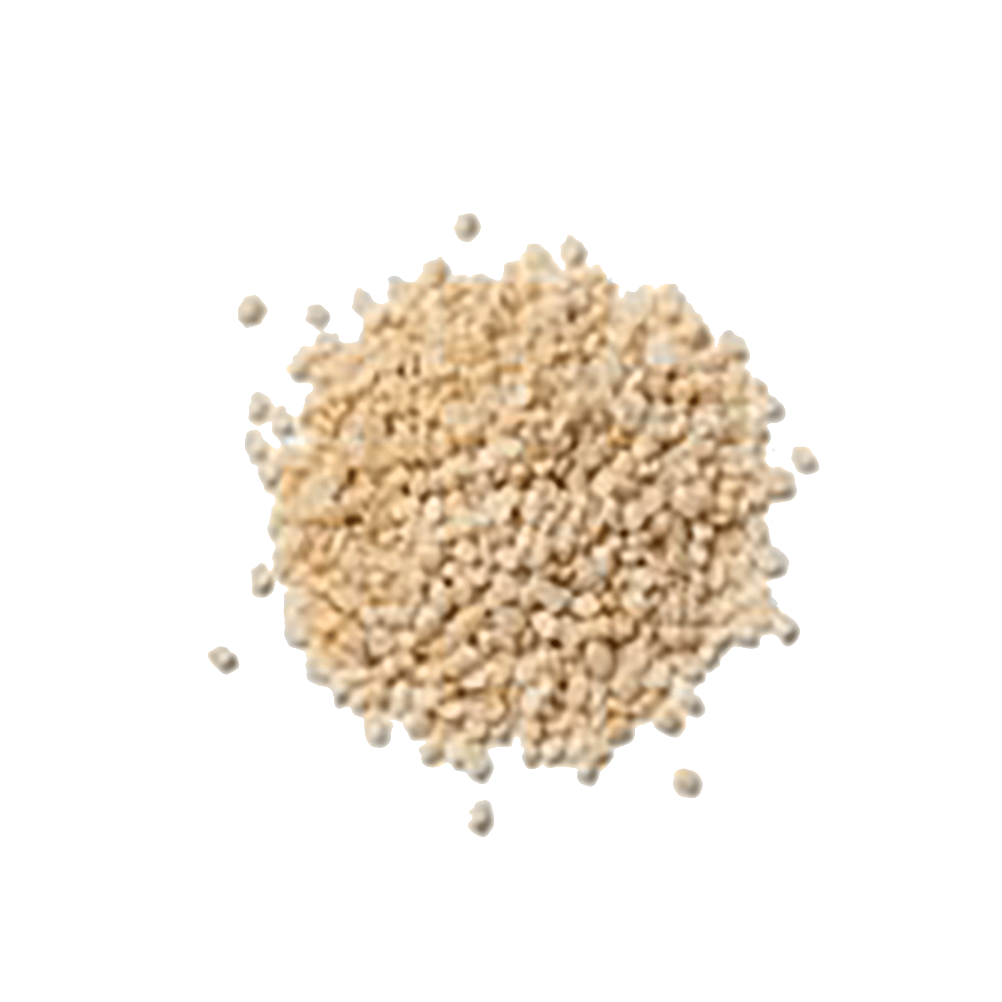 KAIF  URAD DAL 5KG