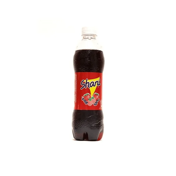 SHANI (PET BOTTLE) 12X500ML - (V20)